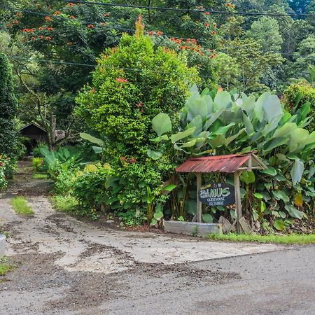 Pak Mus Guest House Ketambe - 0813-7072-1793 Kutacane Exterior photo