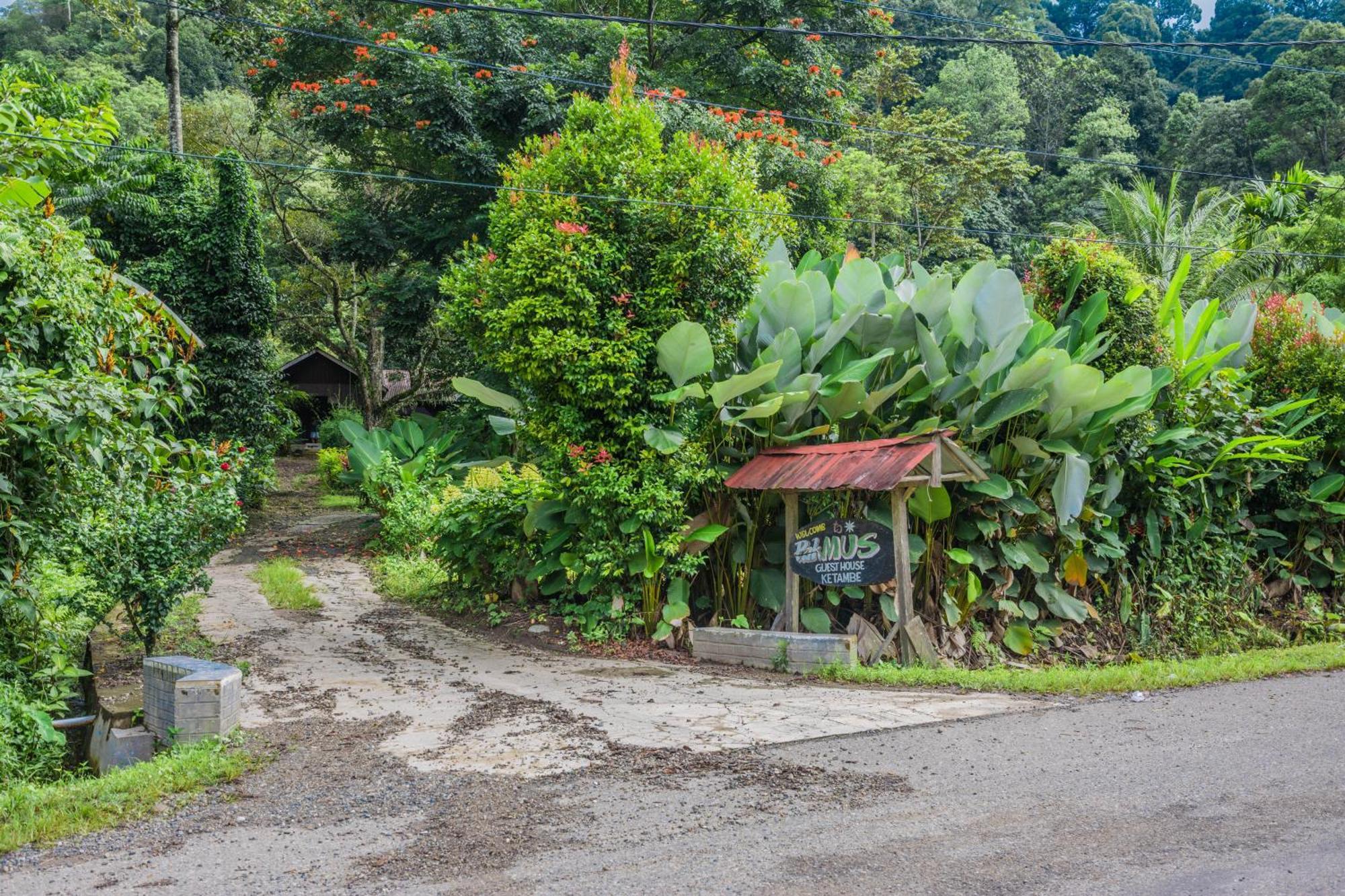 Pak Mus Guest House Ketambe - 0813-7072-1793 Kutacane Exterior photo