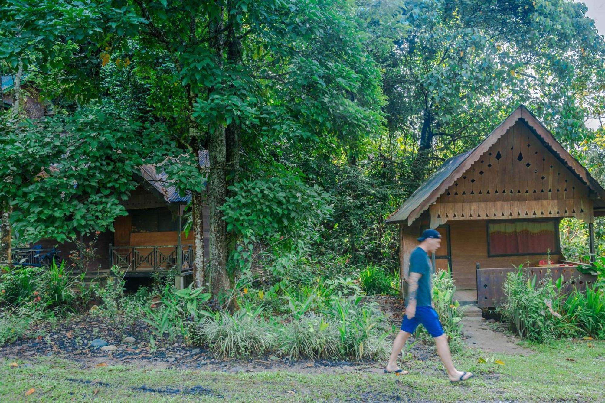 Pak Mus Guest House Ketambe - 0813-7072-1793 Kutacane Exterior photo