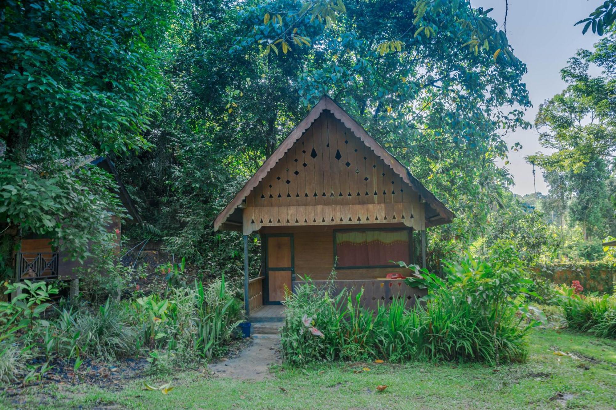 Pak Mus Guest House Ketambe - 0813-7072-1793 Kutacane Exterior photo
