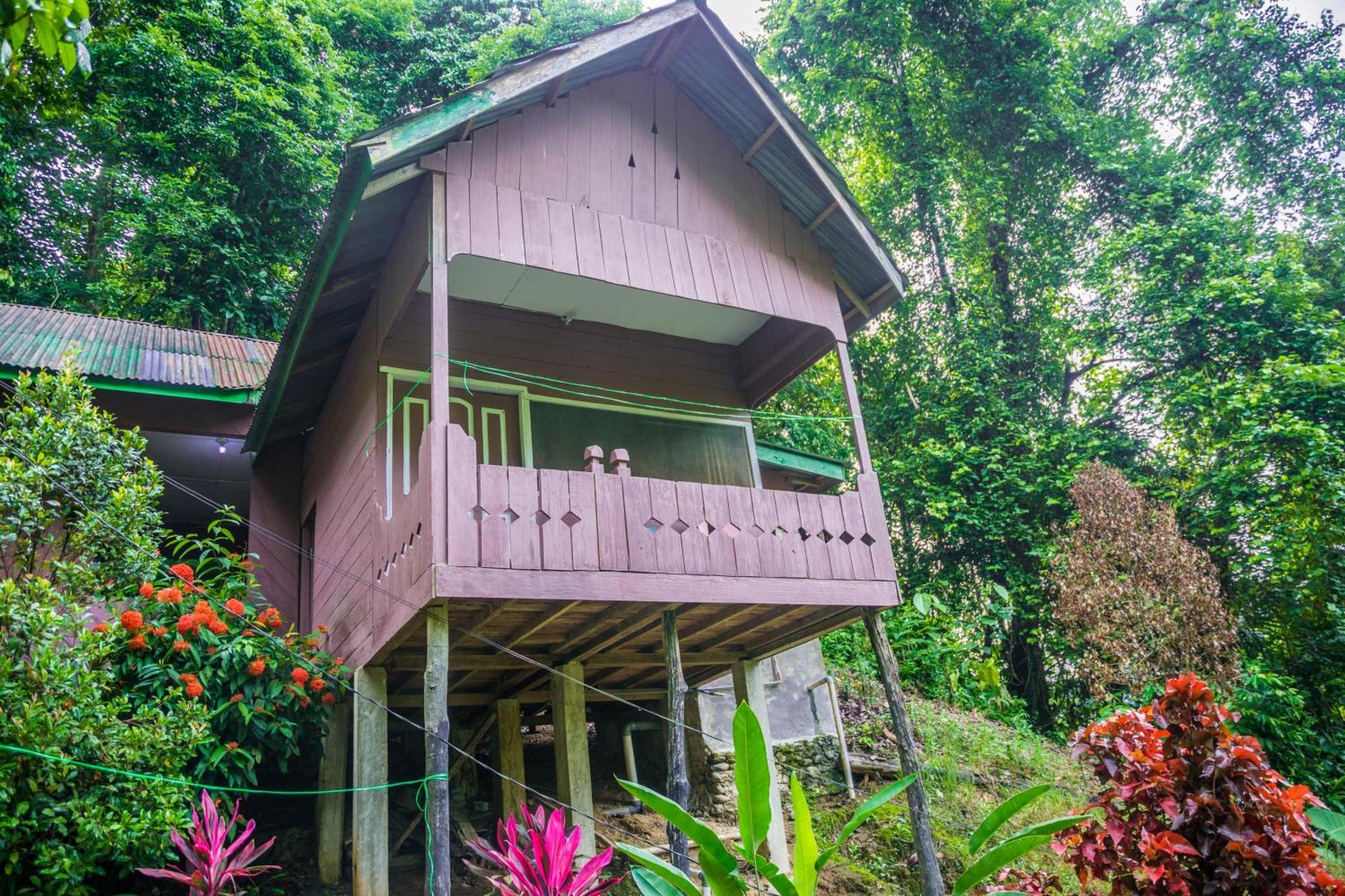 Pak Mus Guest House Ketambe - 0813-7072-1793 Kutacane Exterior photo