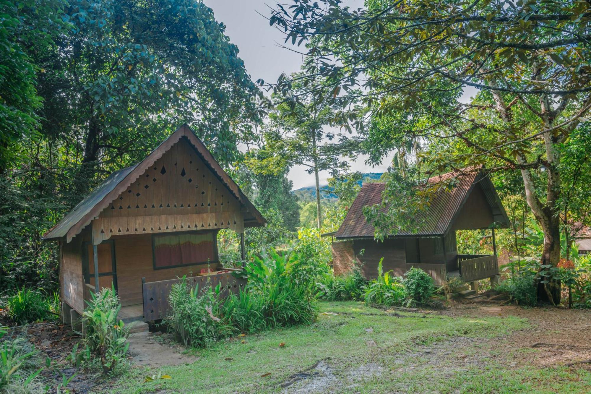 Pak Mus Guest House Ketambe - 0813-7072-1793 Kutacane Exterior photo