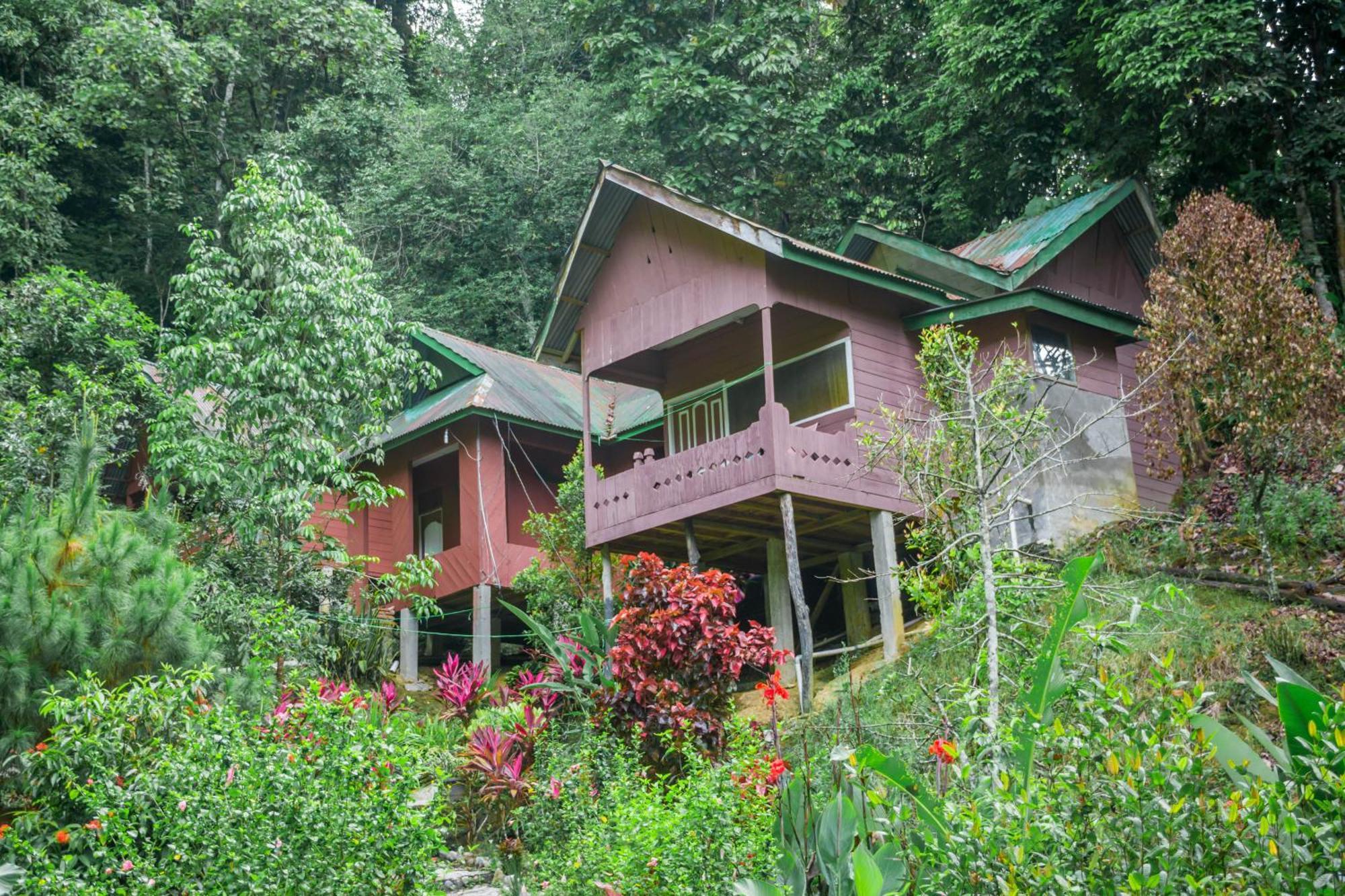 Pak Mus Guest House Ketambe - 0813-7072-1793 Kutacane Exterior photo