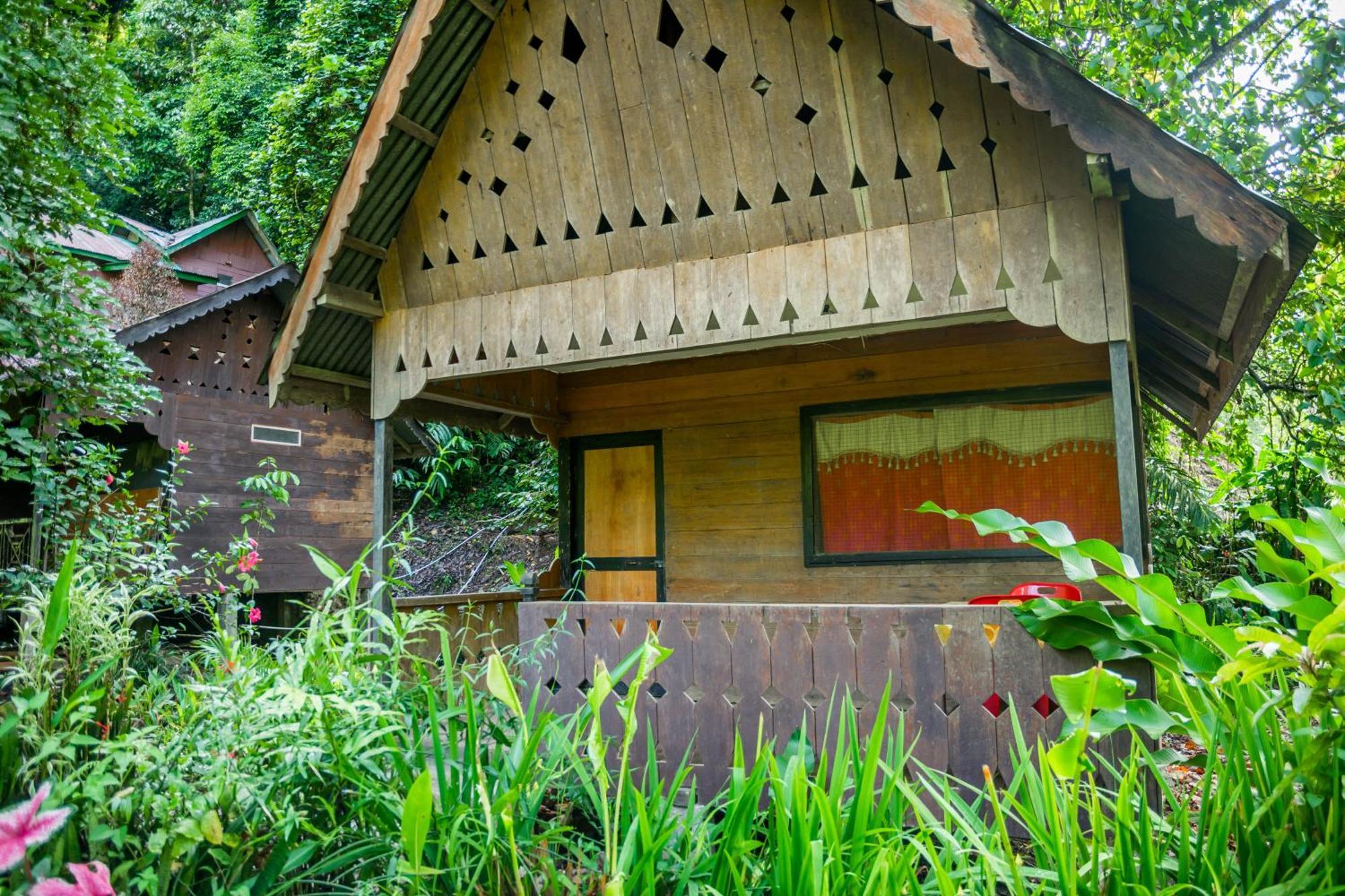 Pak Mus Guest House Ketambe - 0813-7072-1793 Kutacane Exterior photo