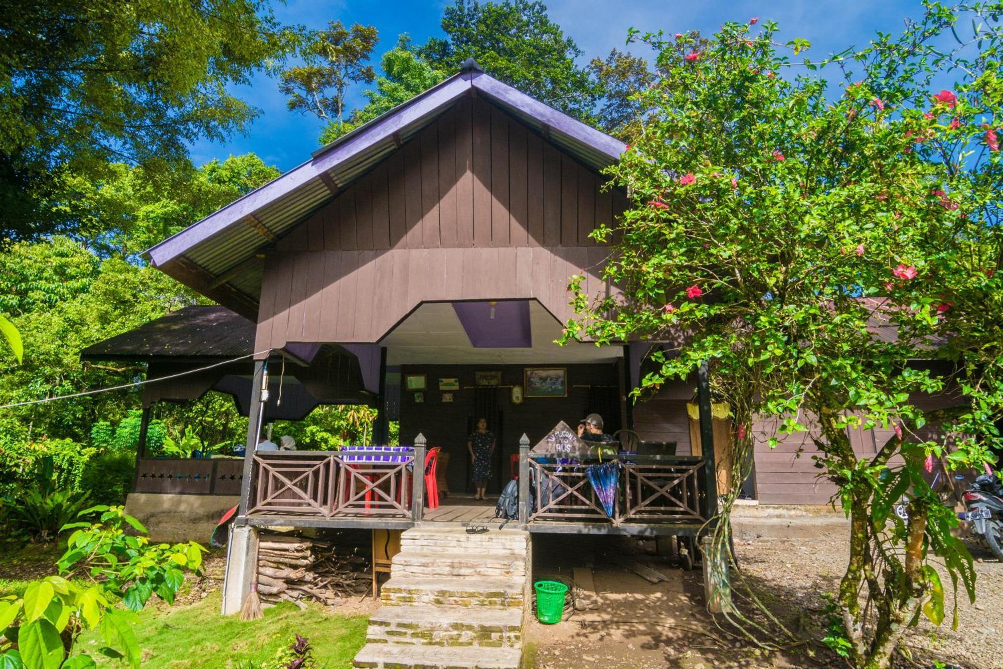 Pak Mus Guest House Ketambe - 0813-7072-1793 Kutacane Exterior photo