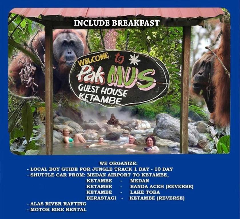 Pak Mus Guest House Ketambe - 0813-7072-1793 Kutacane Exterior photo